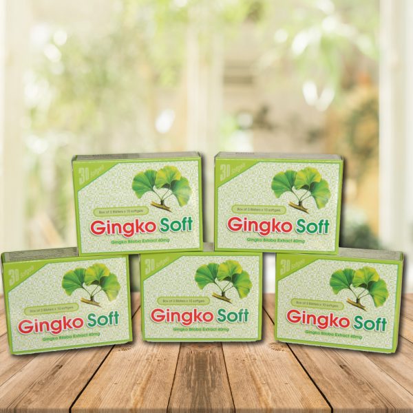 gingko-soft